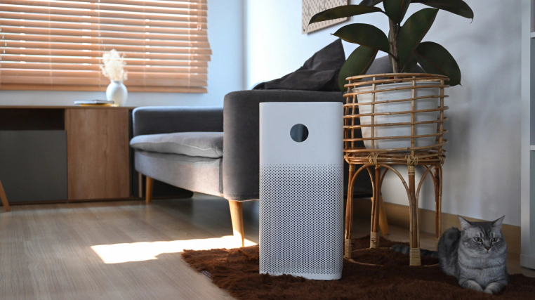 air cleaner humidifier